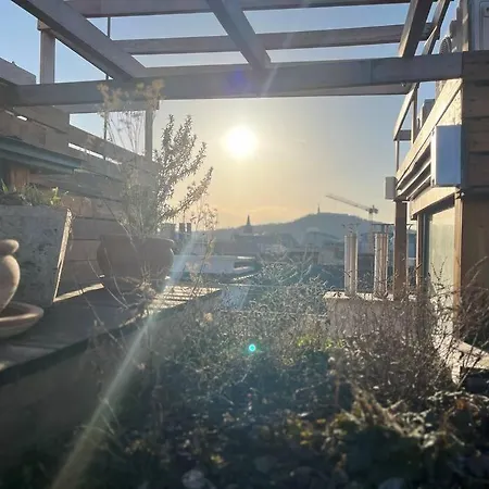 Bright Sunny W Shared Jacuzzi And Rooftop Terrace 360 View Mk2