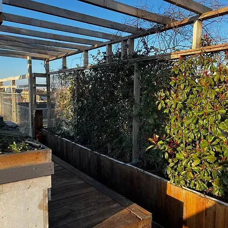 Bright Sunny W Shared Jacuzzi And Rooftop Terrace 360 View Mk2 * Budapest